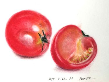 トマトのスケッチ作品