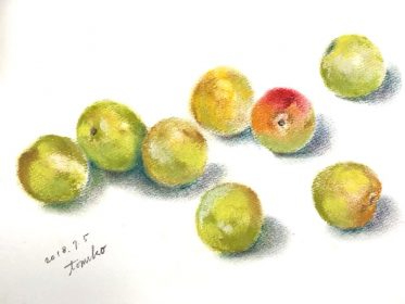 梅の実のスケッチ作品